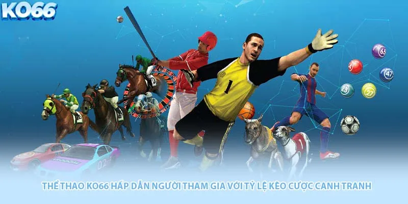 Thể thao Ko66 hấp dẫn người tham gia với tỷ lệ kèo cược canh tranh